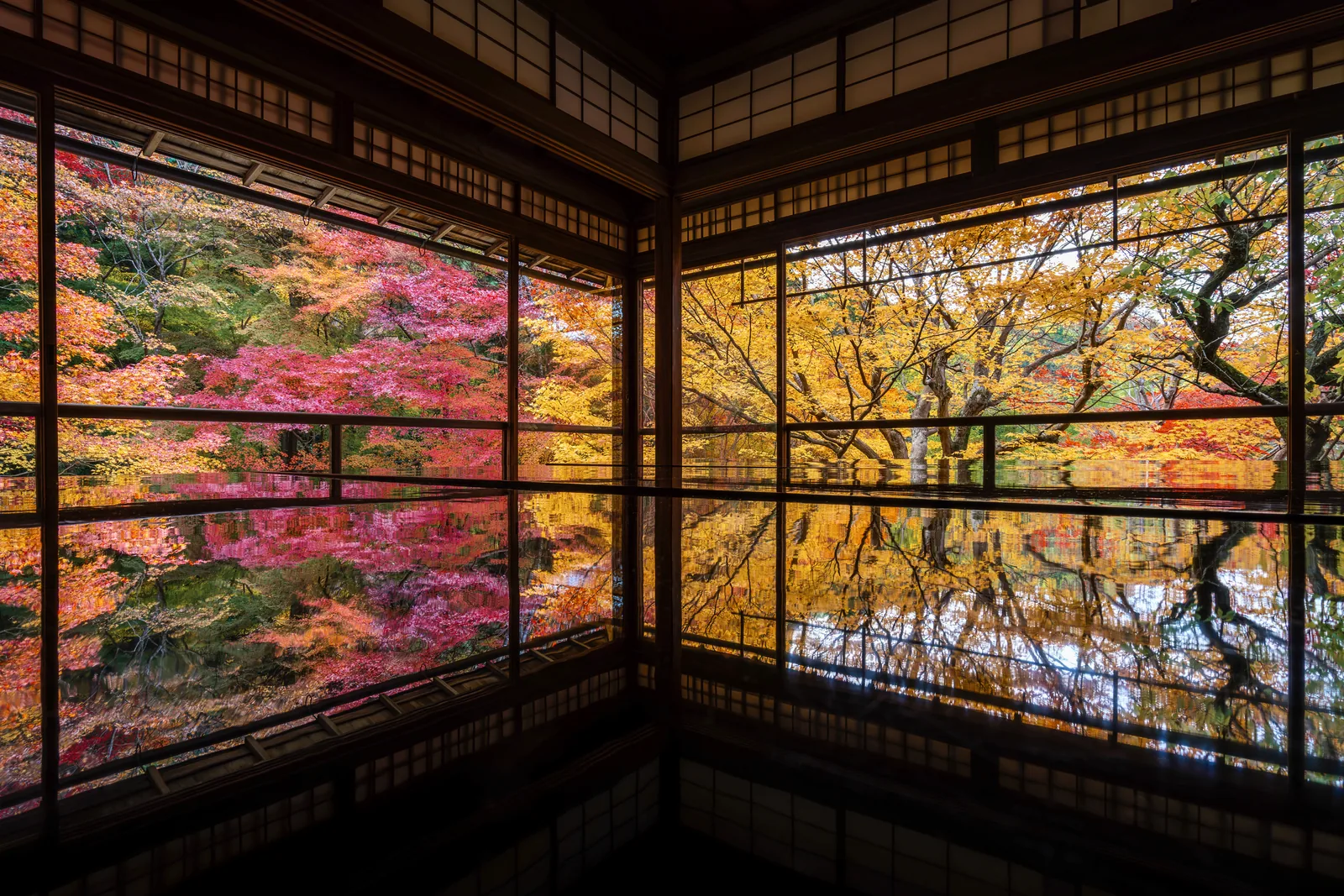 水面に映る紅葉